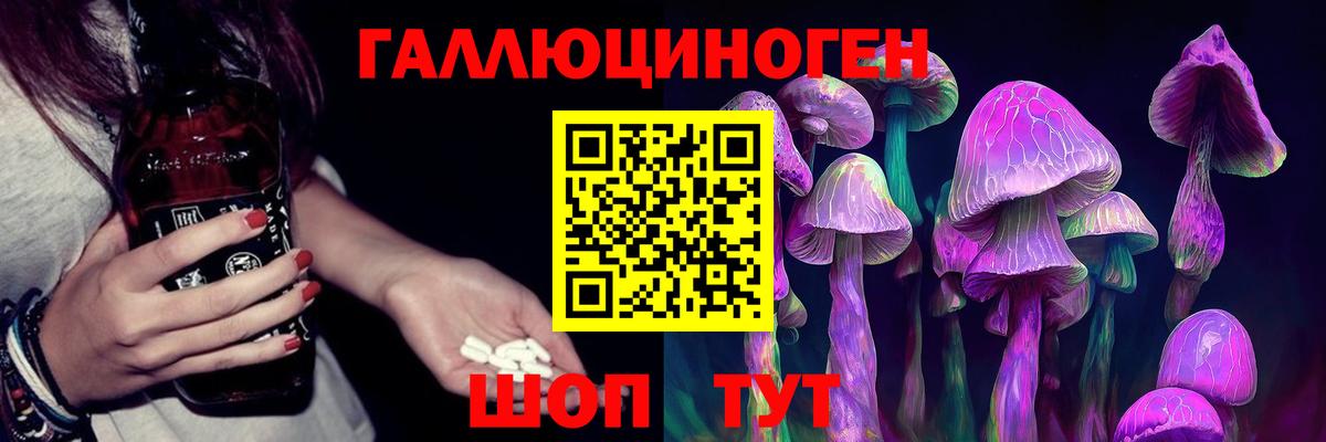 Димитровград  Псилоцибиновые грибы Magic Shrooms  Вход с VPN 